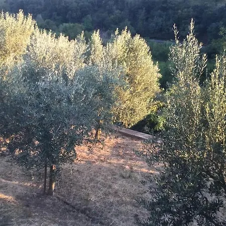 Casetta Helena Tatil Evi