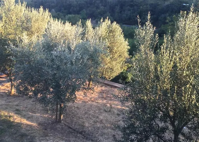 Casetta Helena Nyaraló